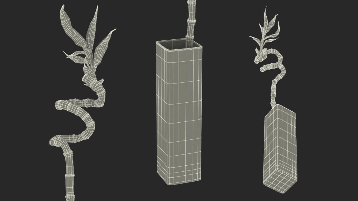 Lucky Bamboo 3D