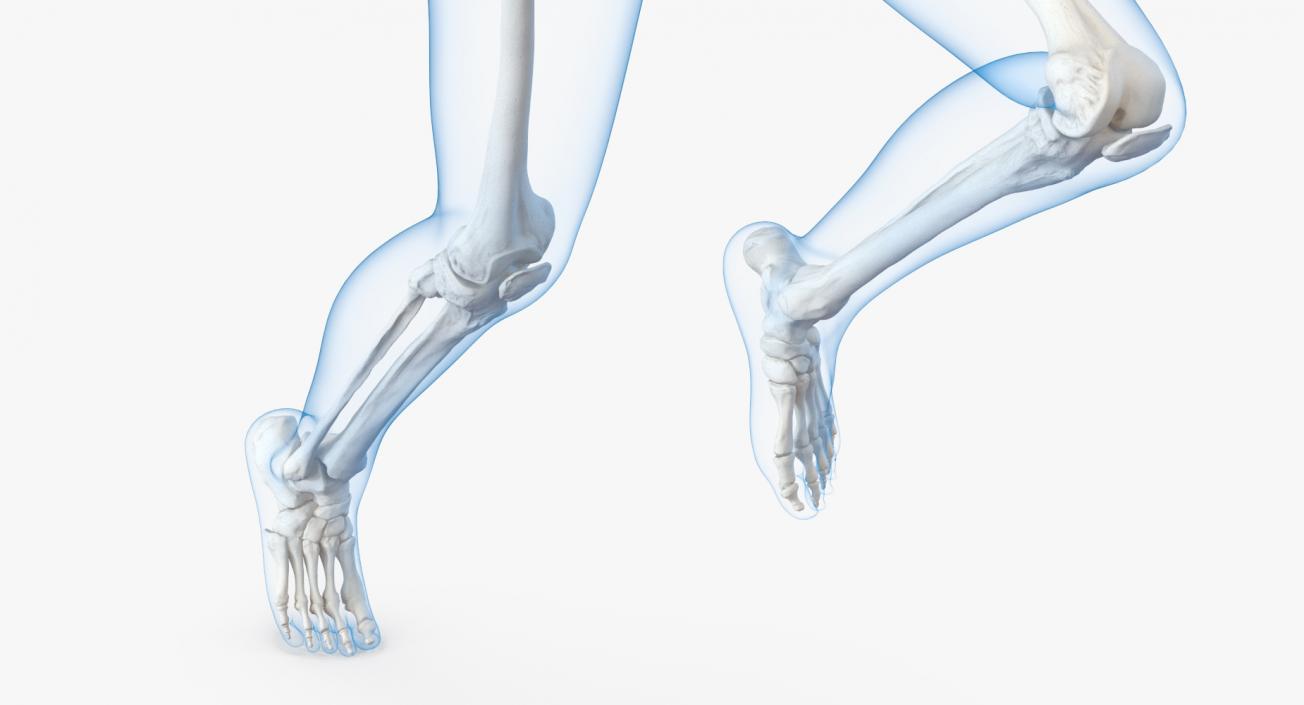 3D Female Body with Skeleton Running Pose model