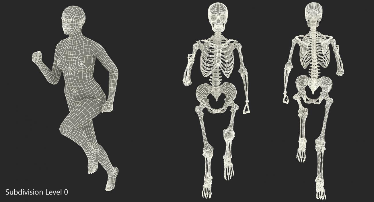 3D Female Body with Skeleton Running Pose model