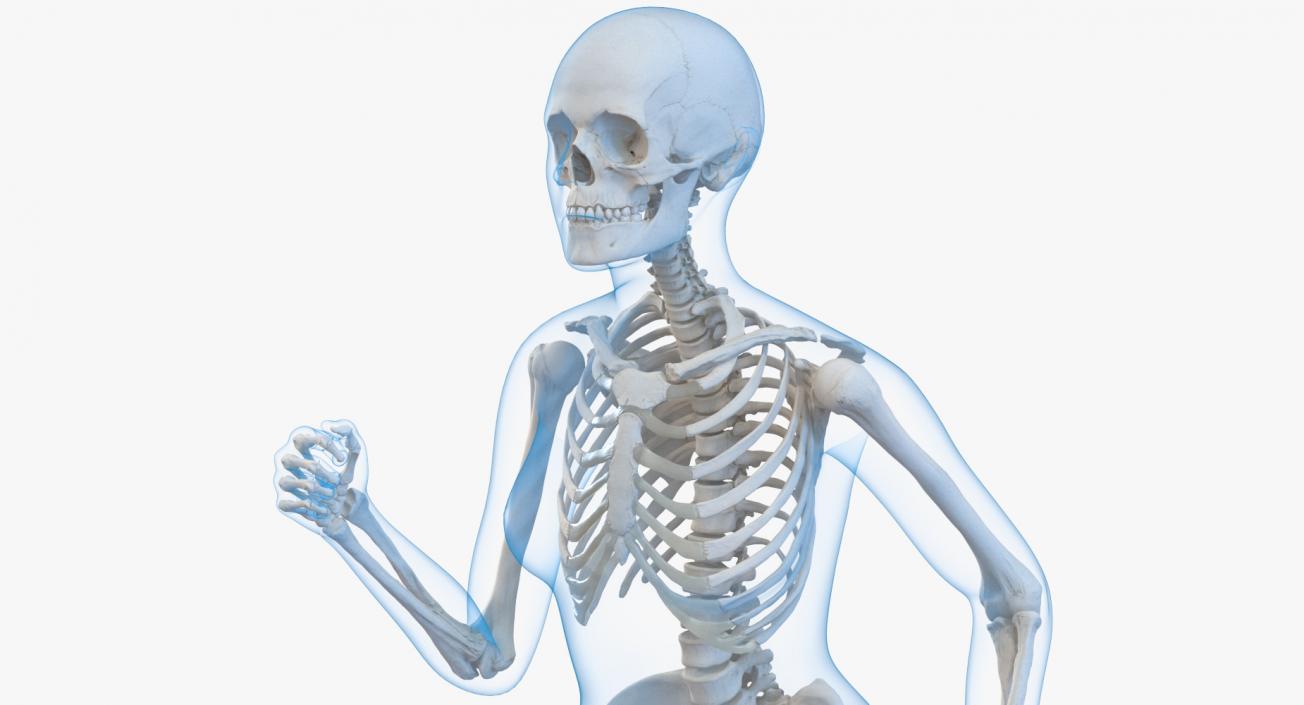 3D Female Body with Skeleton Running Pose model