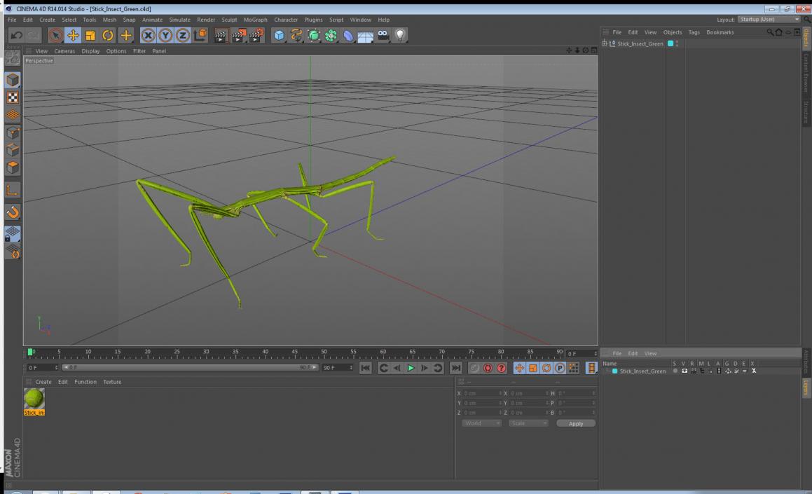 3D Stick Insect Green model