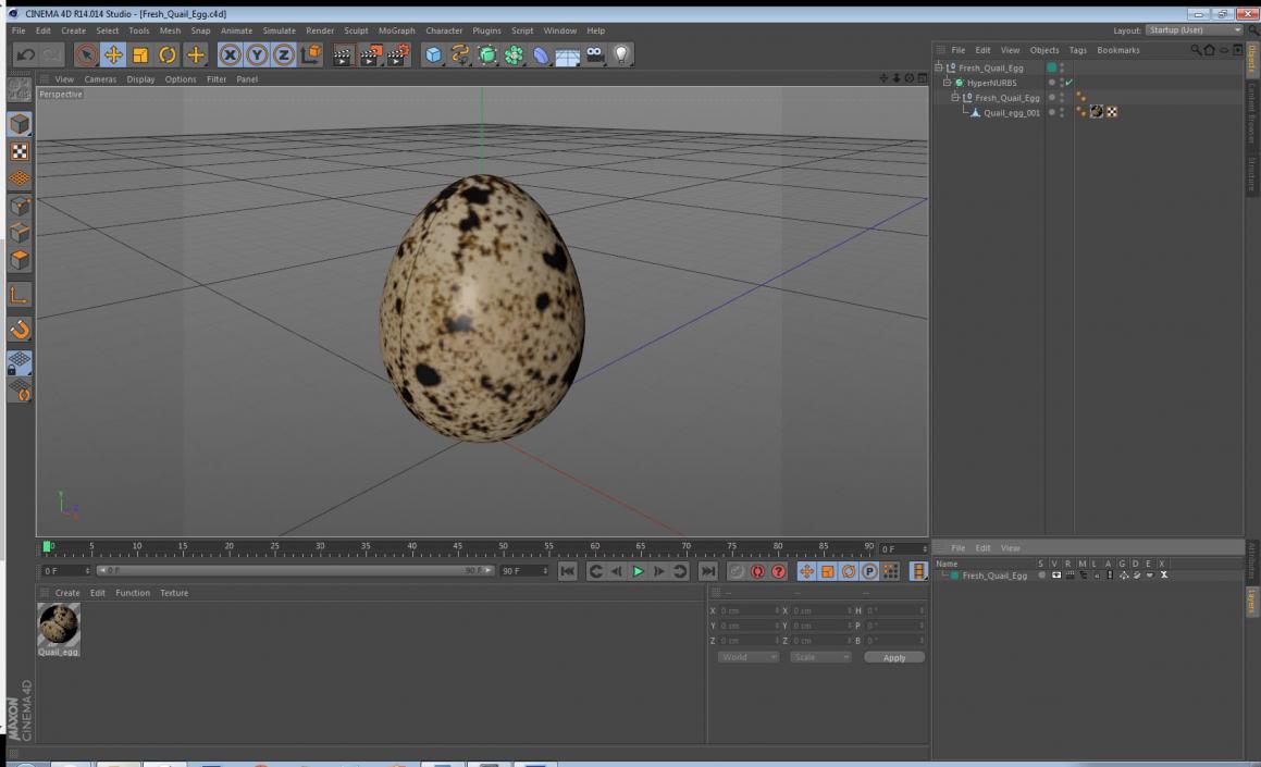 3D model Fresh Quail Egg