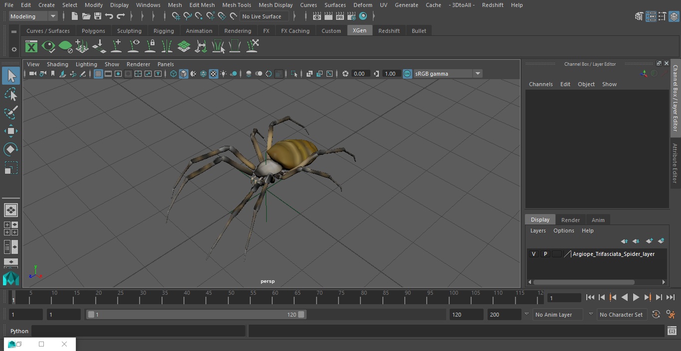 3D Argiope Trifasciata Spider