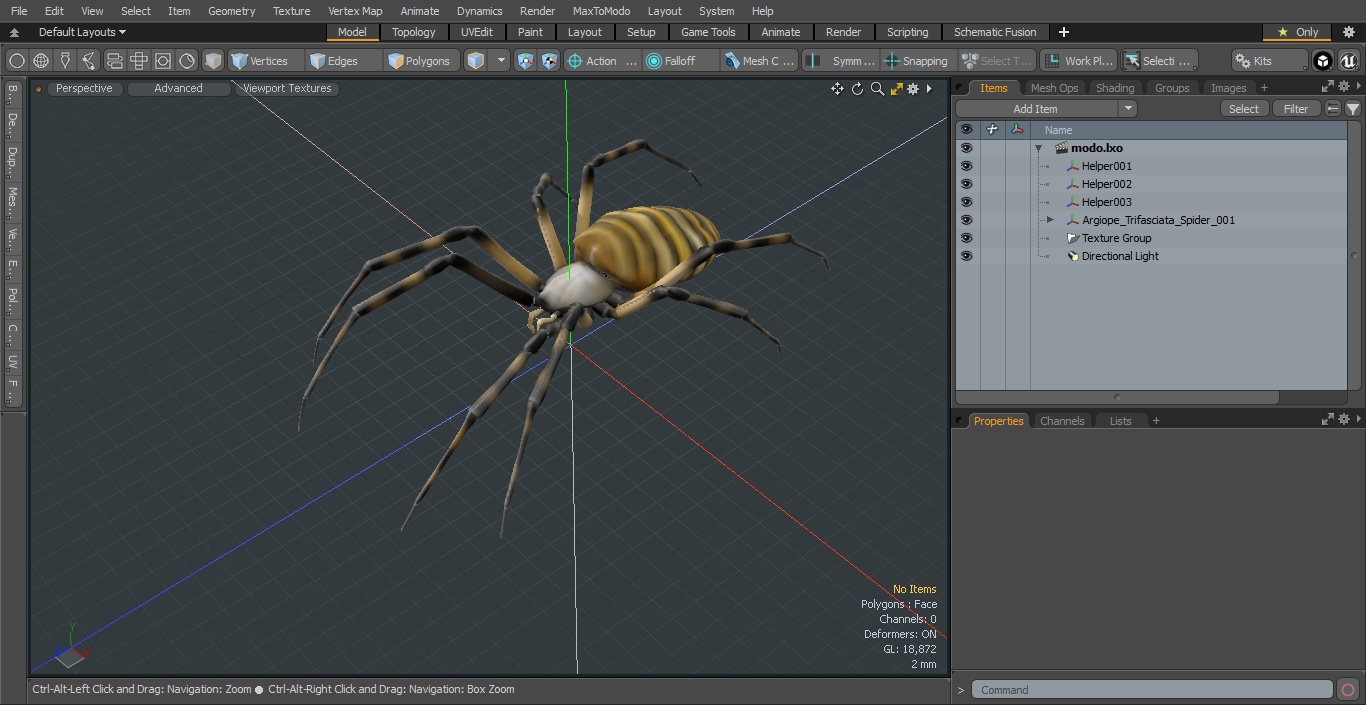 3D Argiope Trifasciata Spider