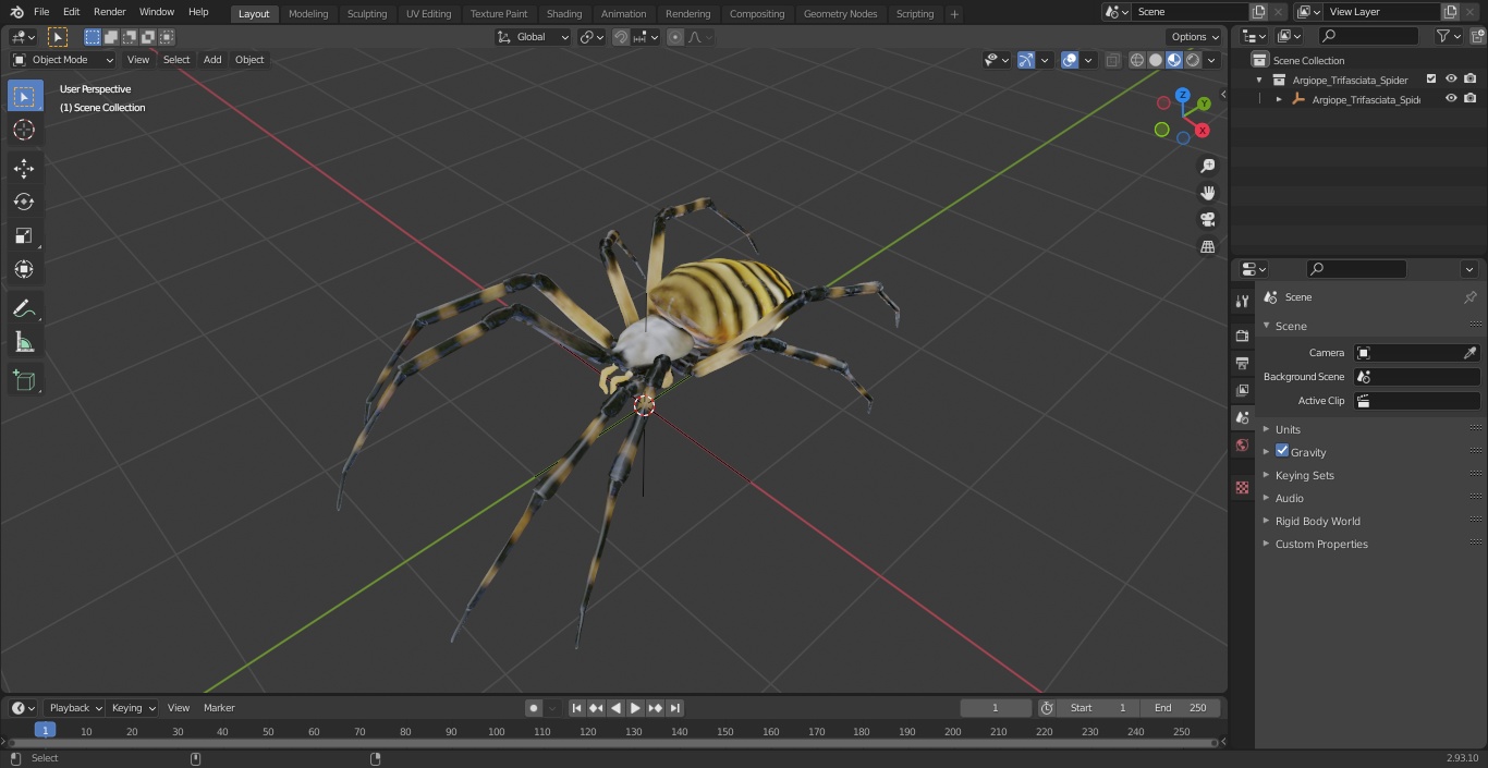 3D Argiope Trifasciata Spider