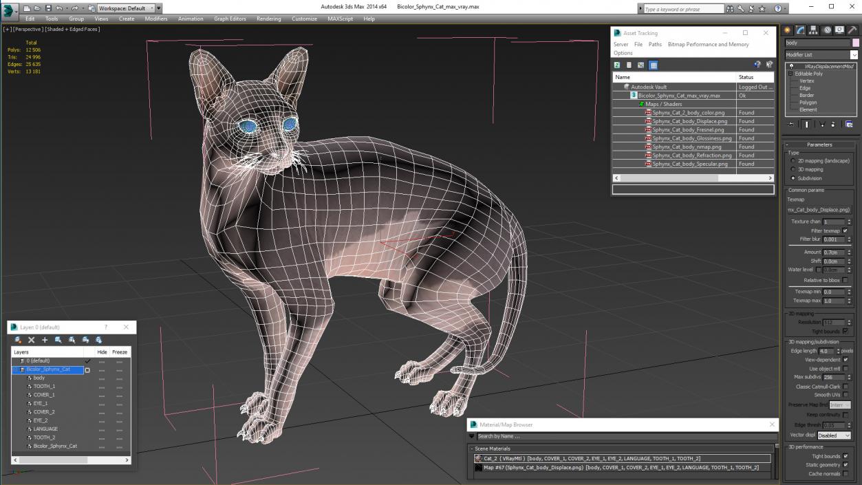 3D Bicolor Sphynx Cat model