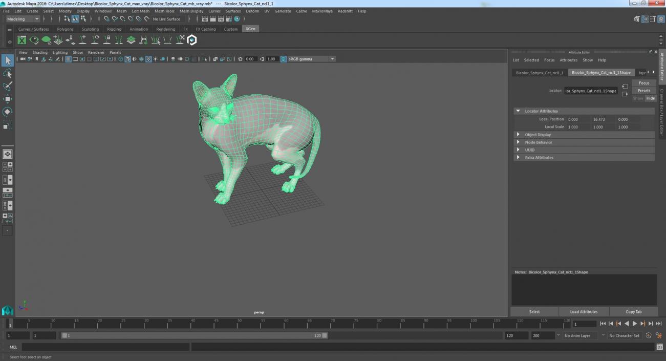 3D Bicolor Sphynx Cat model