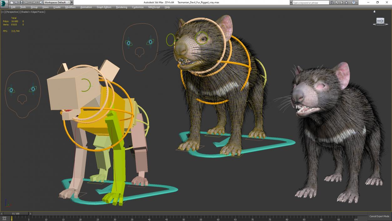 3D Tasmanian Devil Fur Rigged