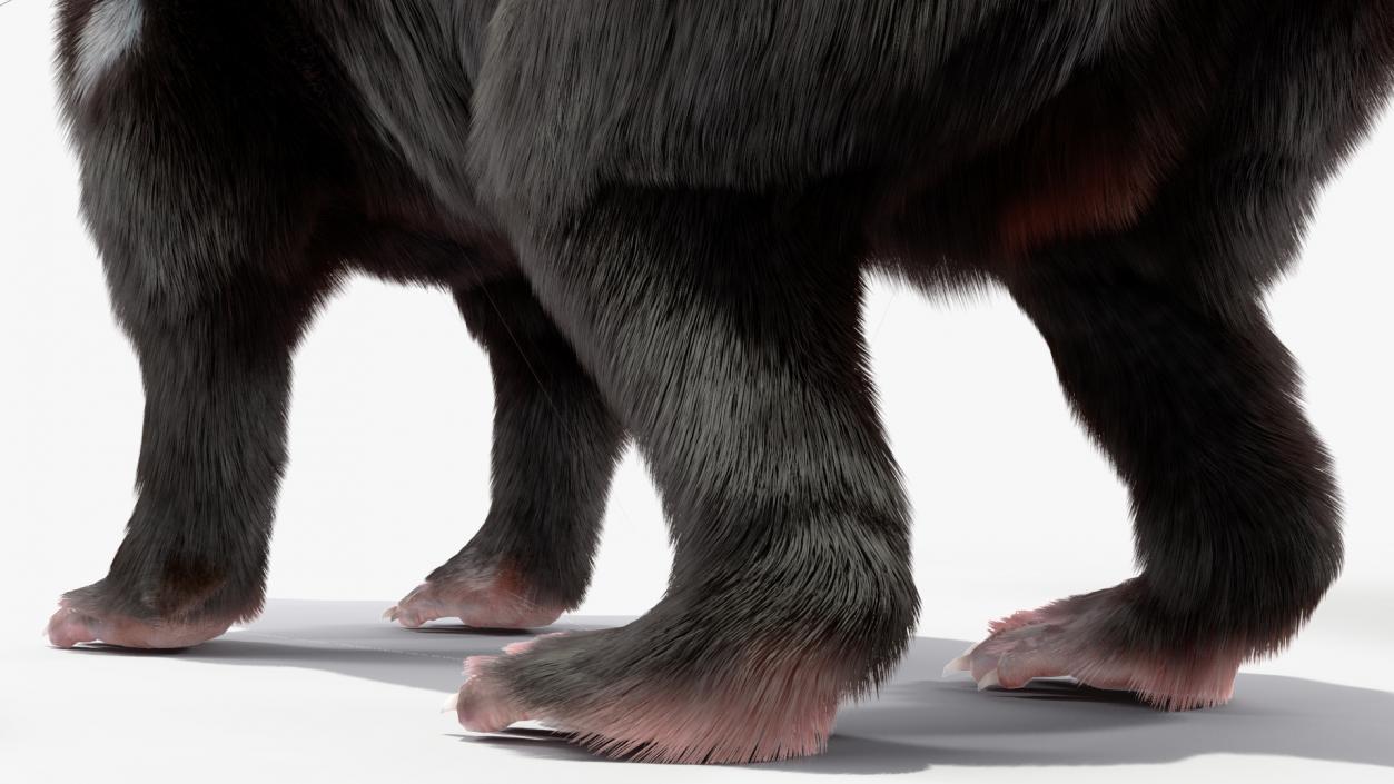 3D Tasmanian Devil Fur Rigged