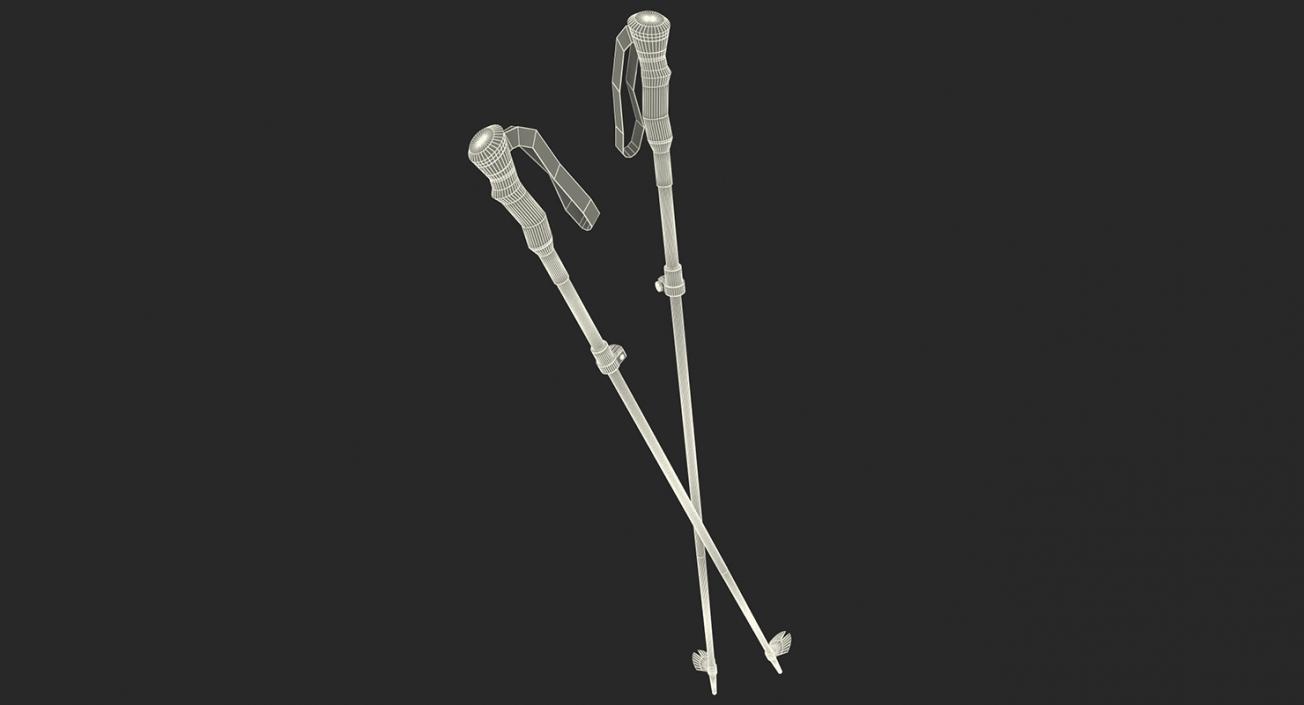 3D model Skier and Equipment 3D Models Collection