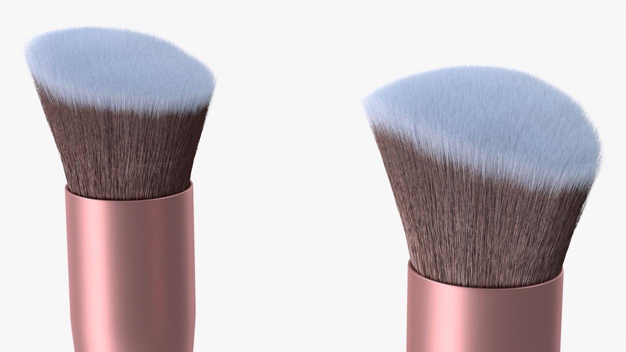 Angled and Flat Angled Makeup Brush Fur 3D model