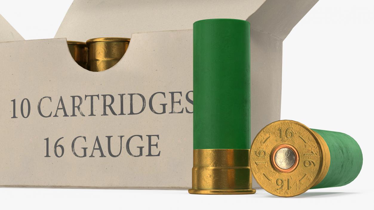 3D model Box of 16 Gauge Shotgun Shells