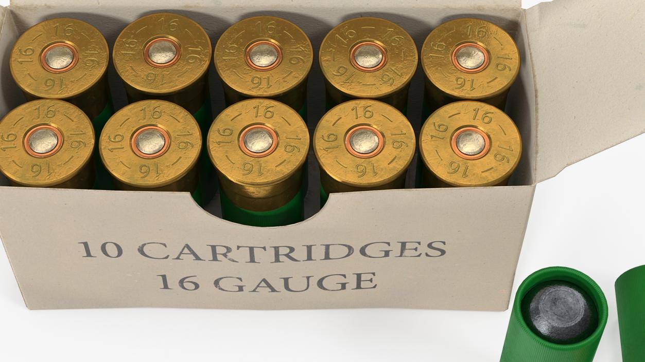 3D model Box of 16 Gauge Shotgun Shells