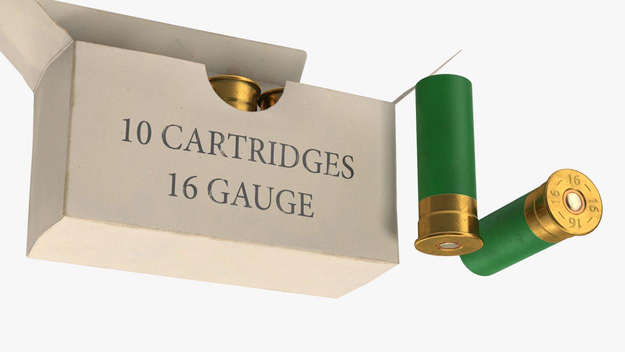 3D model Box of 16 Gauge Shotgun Shells