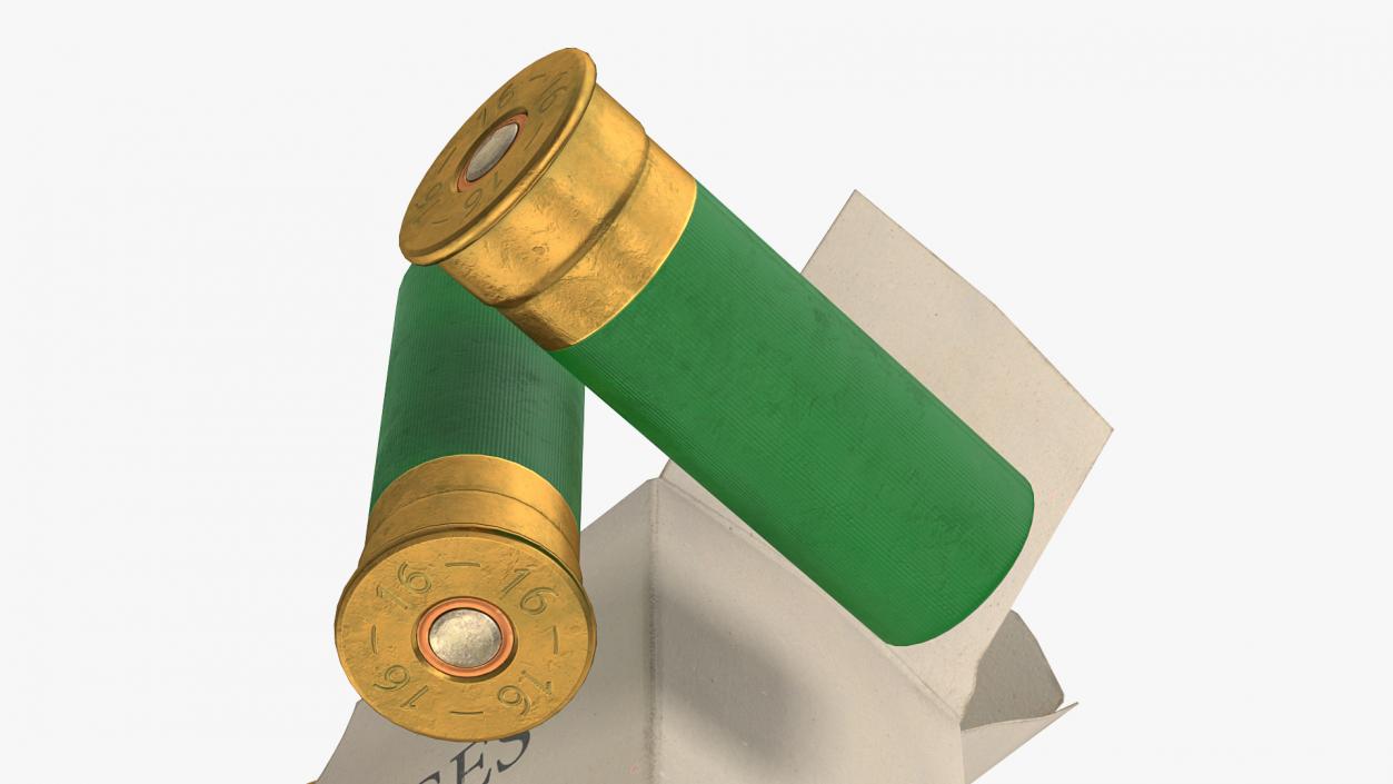 3D model Box of 16 Gauge Shotgun Shells