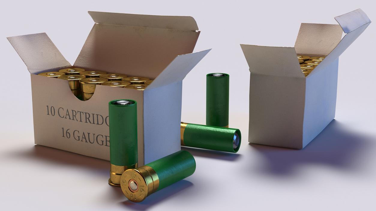 3D model Box of 16 Gauge Shotgun Shells