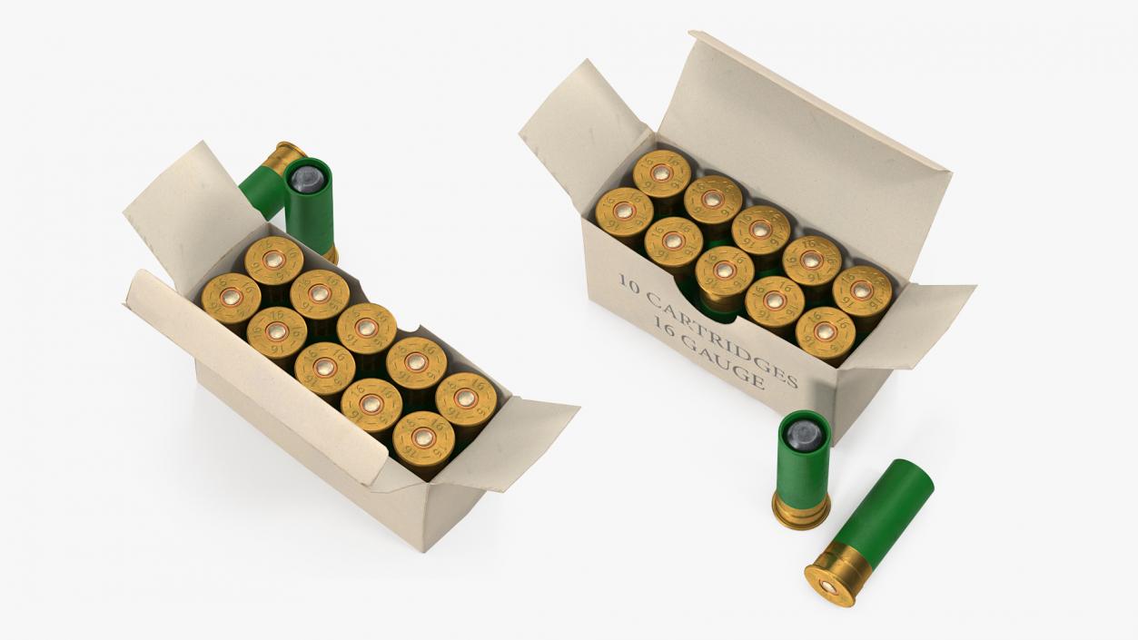 3D model Box of 16 Gauge Shotgun Shells