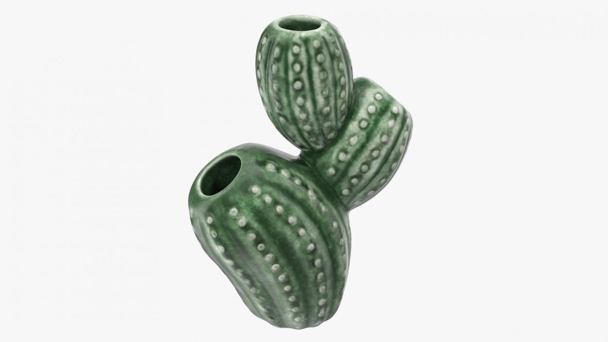 3D Cactus Vase