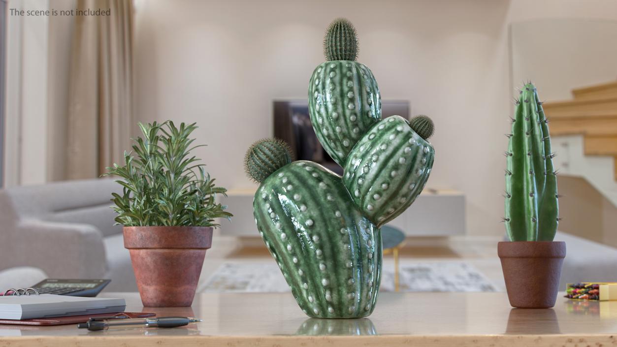 3D Cactus Vase