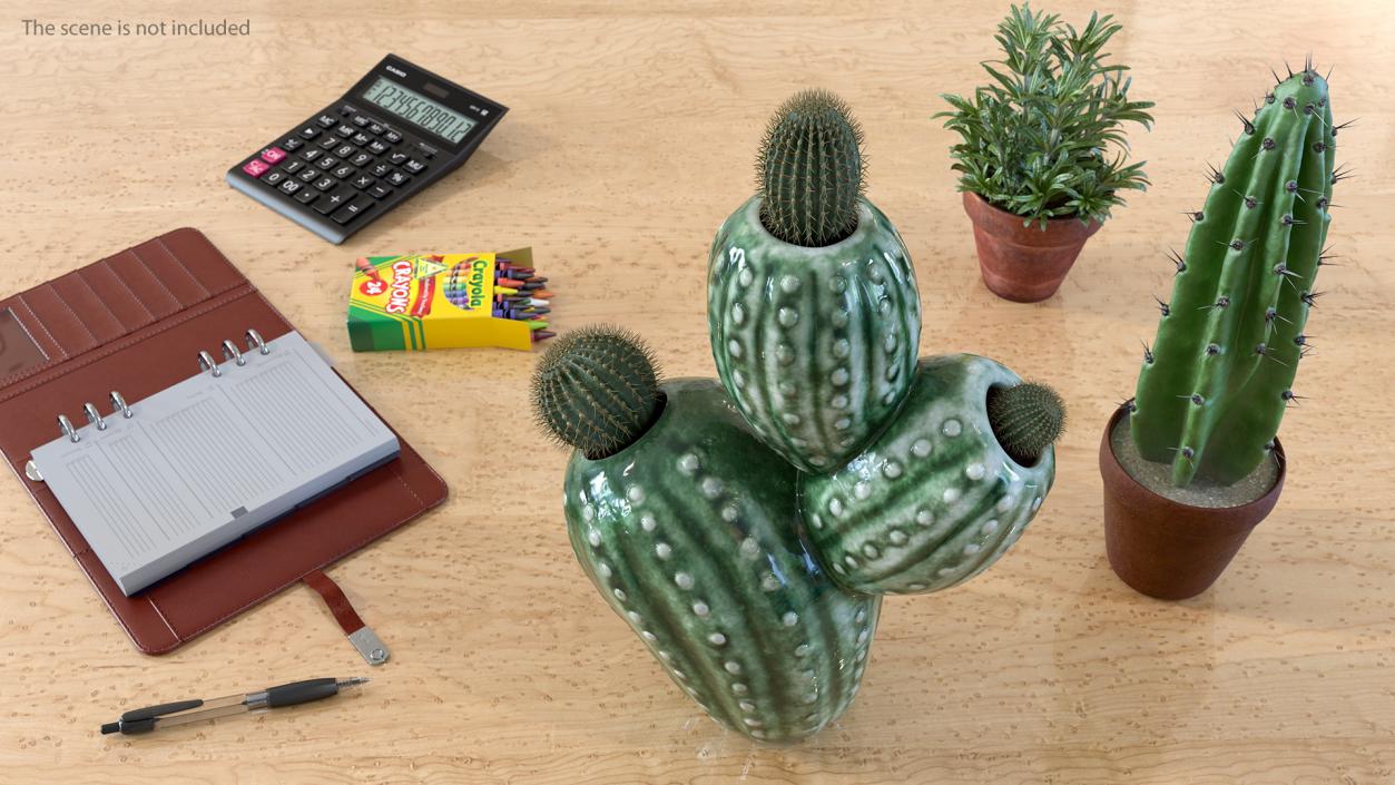 3D Cactus Vase