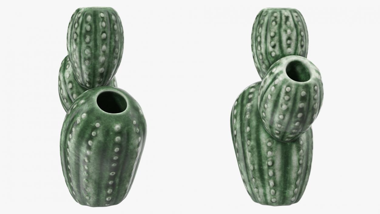 3D Cactus Vase