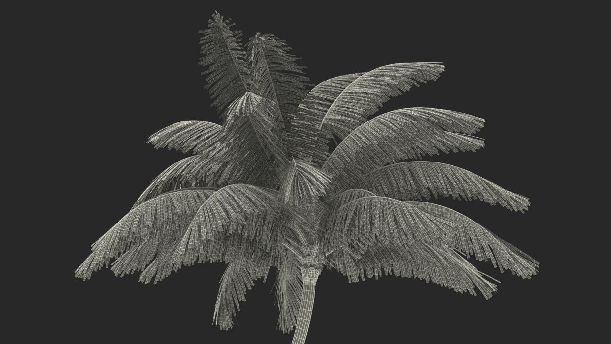 3D Tropical Palm Tree model