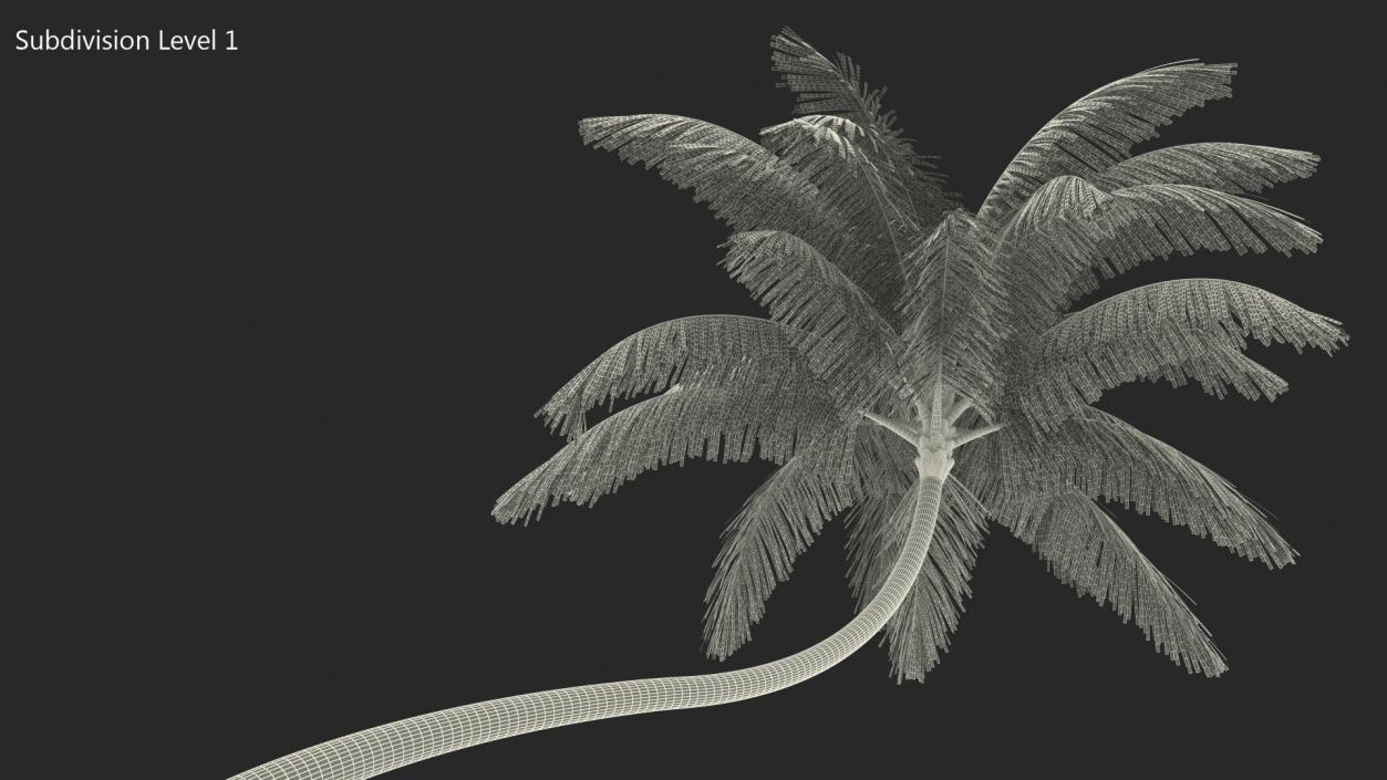 3D Tropical Palm Tree model