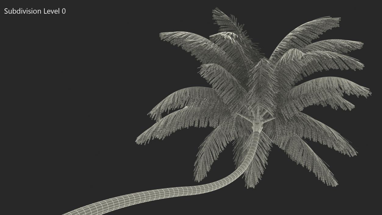 3D Tropical Palm Tree model