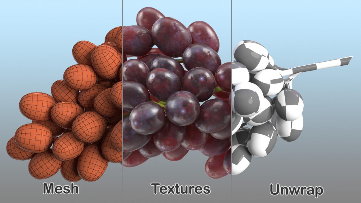 Grapes Collection 4 3D model