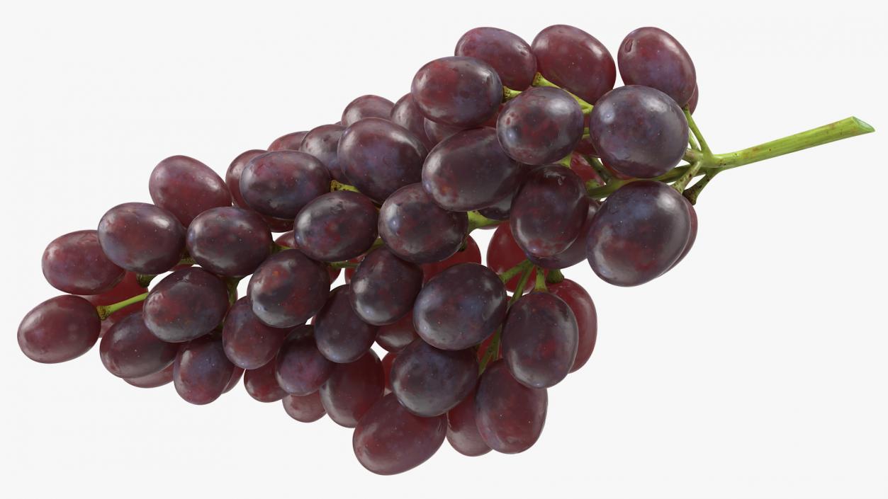 Grapes Collection 4 3D model