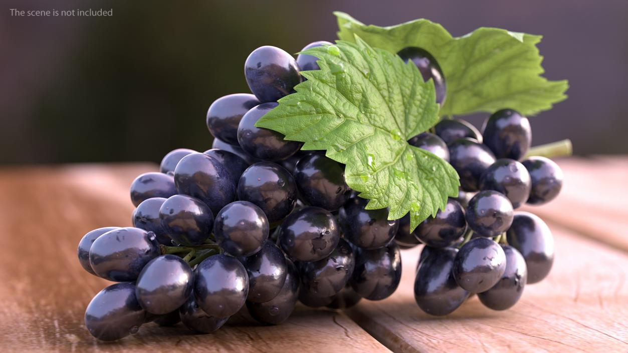 Grapes Collection 4 3D model