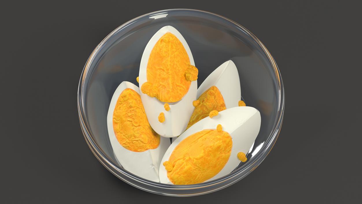 Bowl of Hard Boiled Egg Quarters 3D