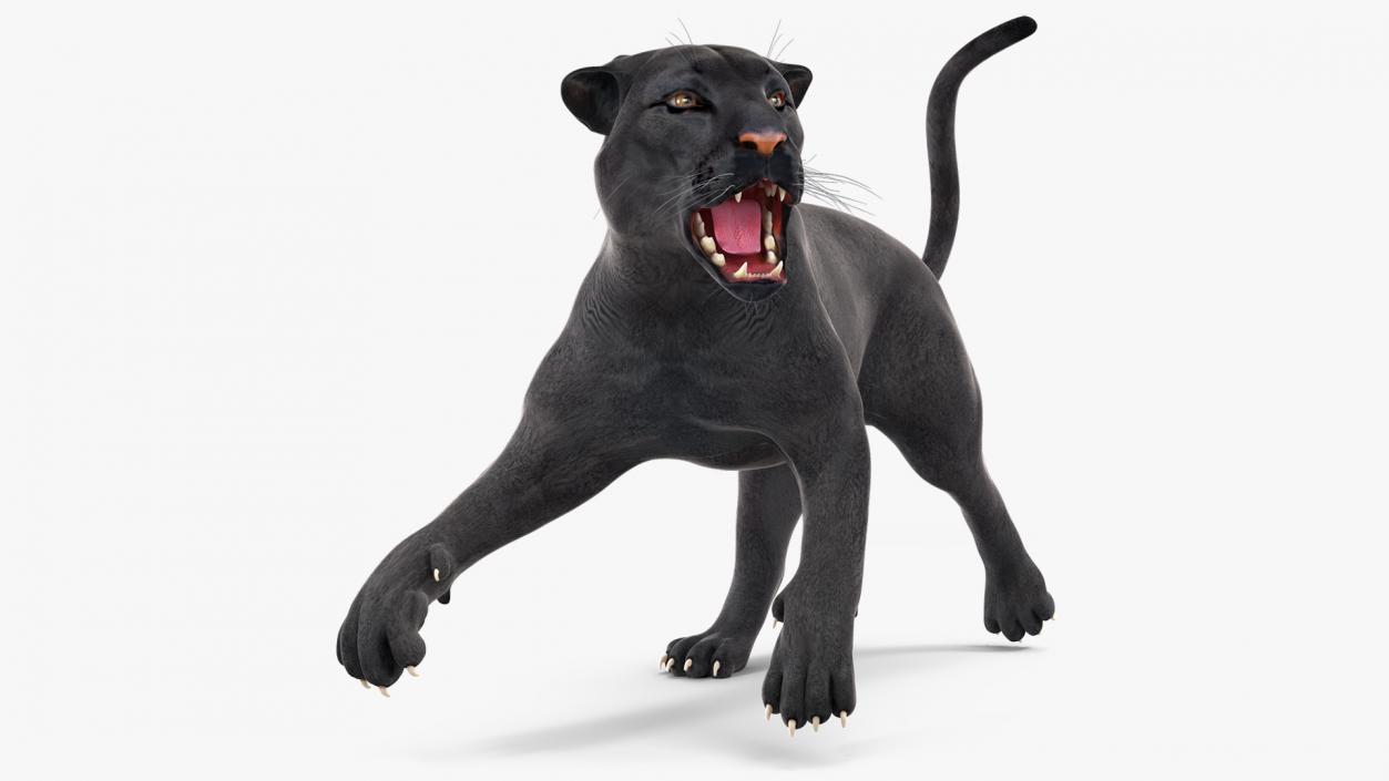 3D Black Panther Rigged for Cinema 4D 2