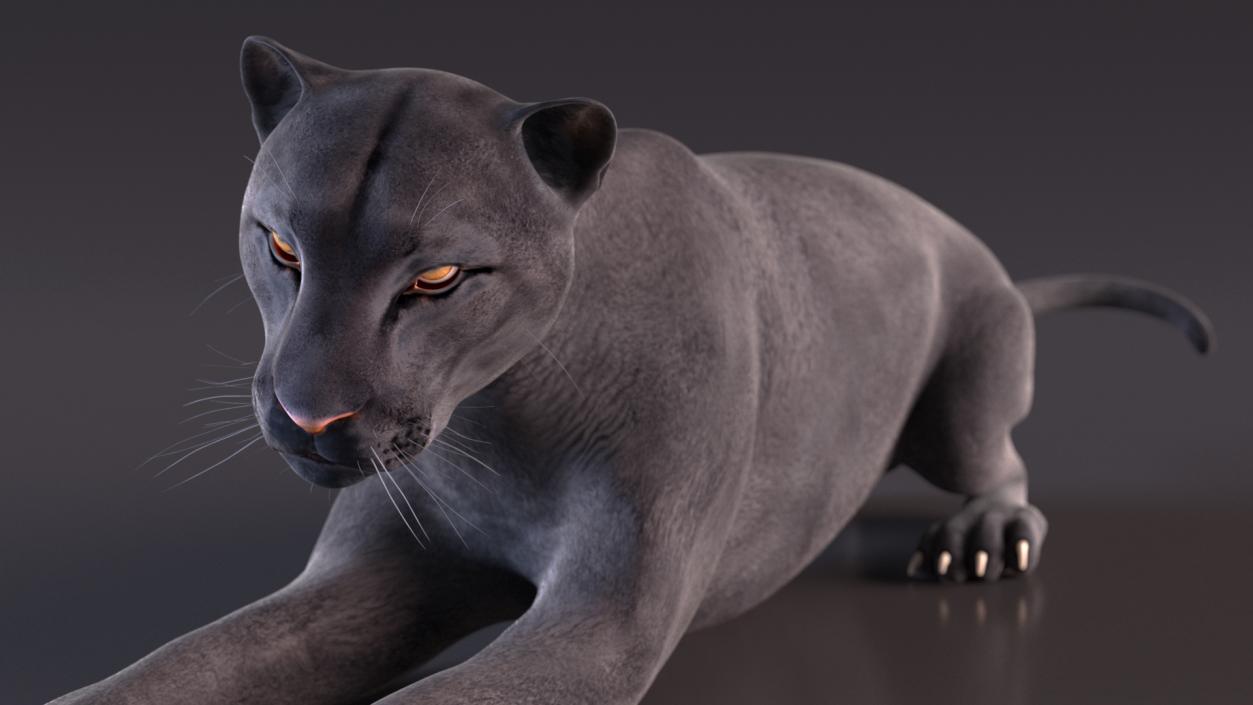 3D Black Panther Rigged for Cinema 4D 2