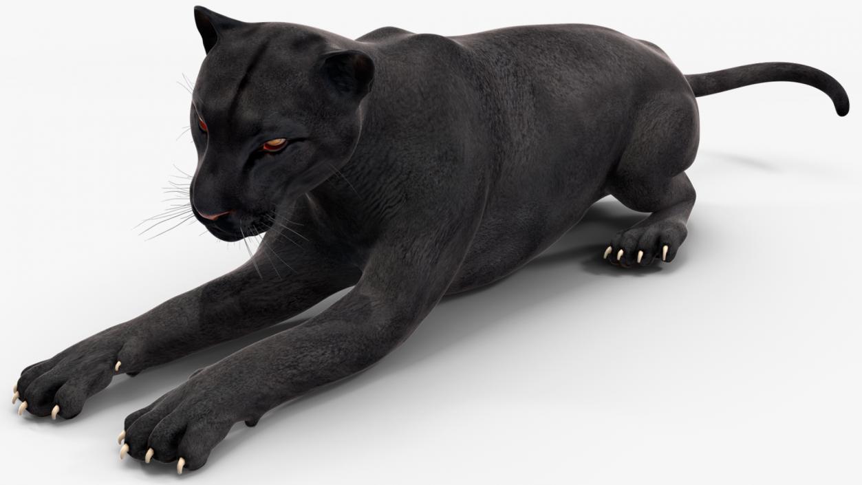 3D Black Panther Rigged for Cinema 4D 2