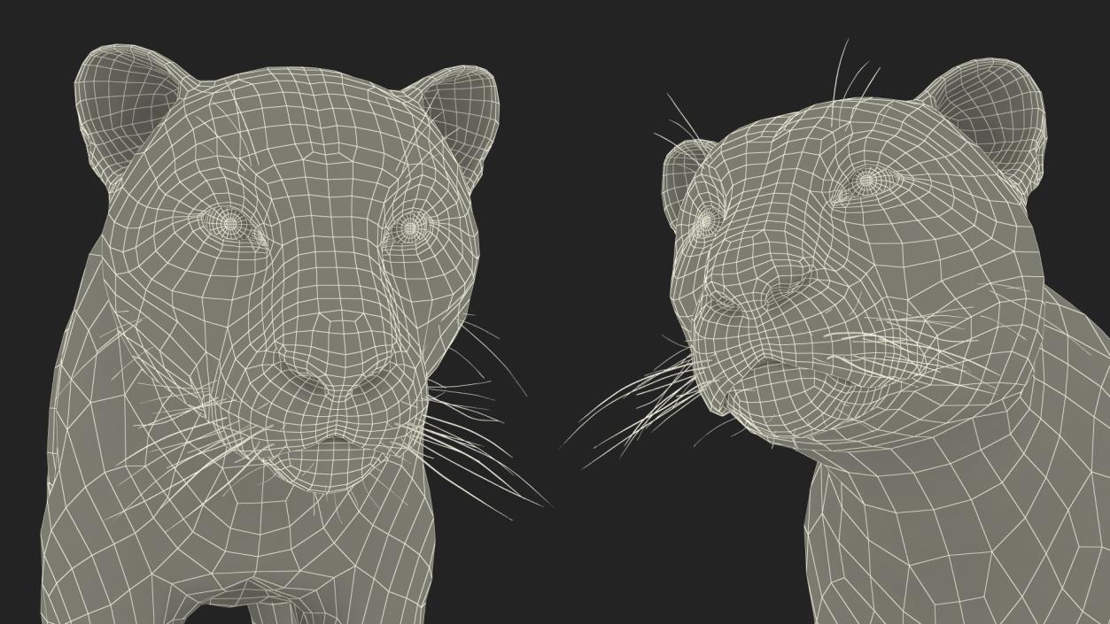 3D Black Panther Rigged for Cinema 4D 2