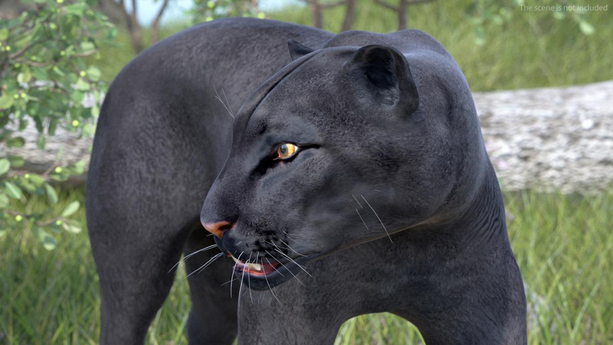 3D Black Panther Rigged for Cinema 4D 2