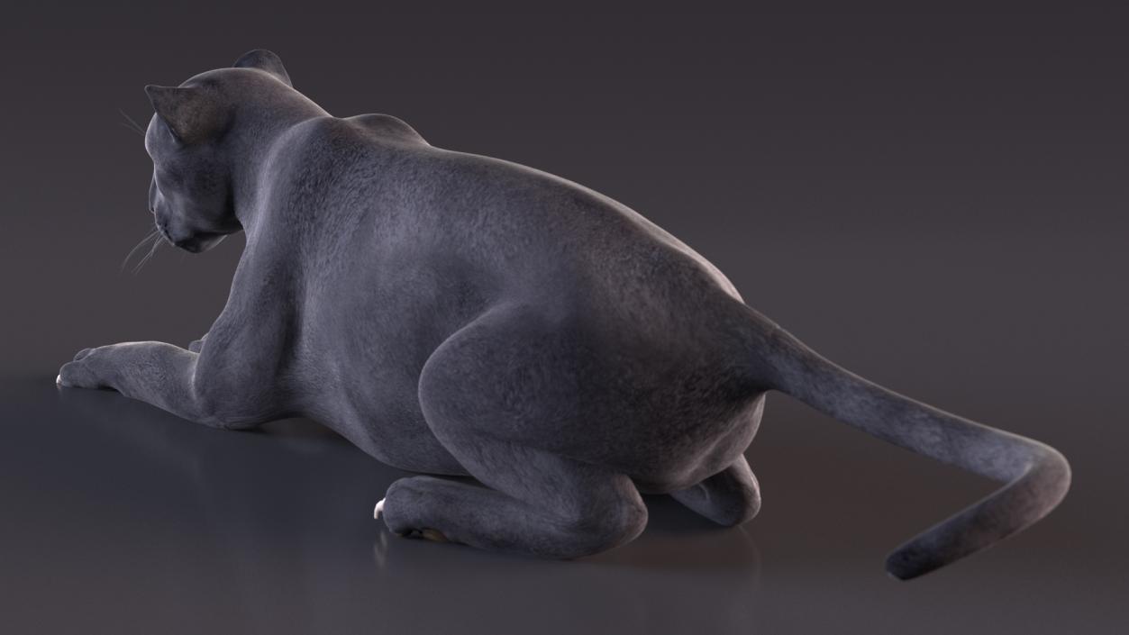 3D Black Panther Rigged for Cinema 4D 2