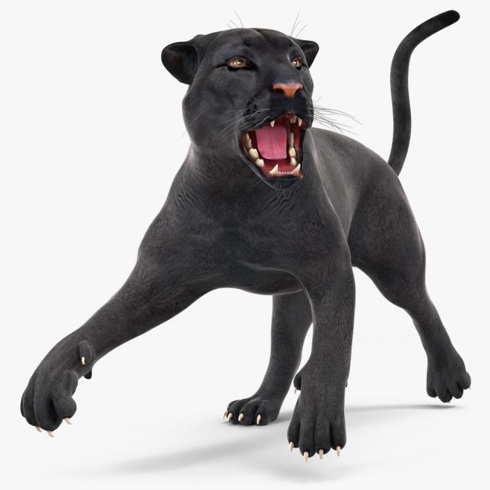 3D Black Panther Rigged for Cinema 4D 2