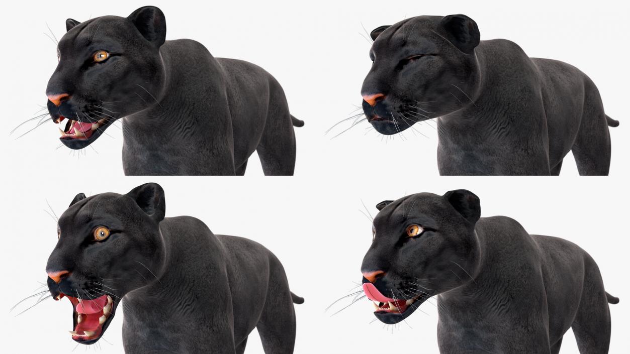 3D Black Panther Rigged for Cinema 4D 2