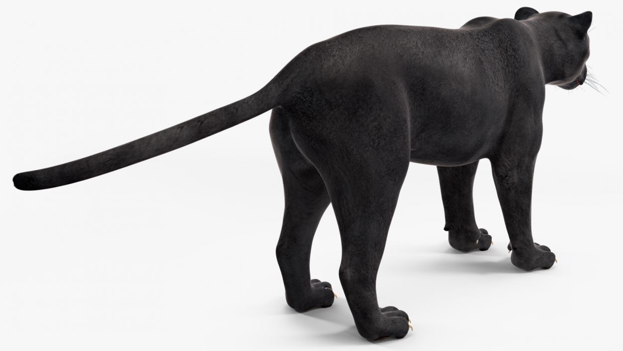 3D Black Panther Rigged for Cinema 4D 2