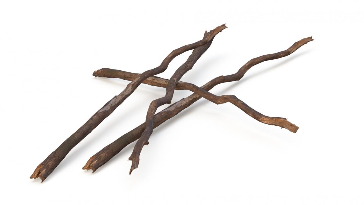 Broken Dry Branch 3D