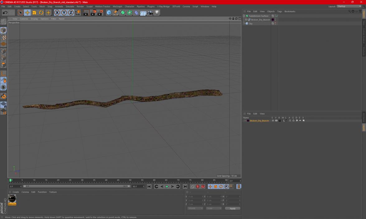 Broken Dry Branch 3D