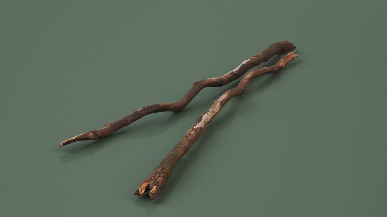 Broken Dry Branch 3D