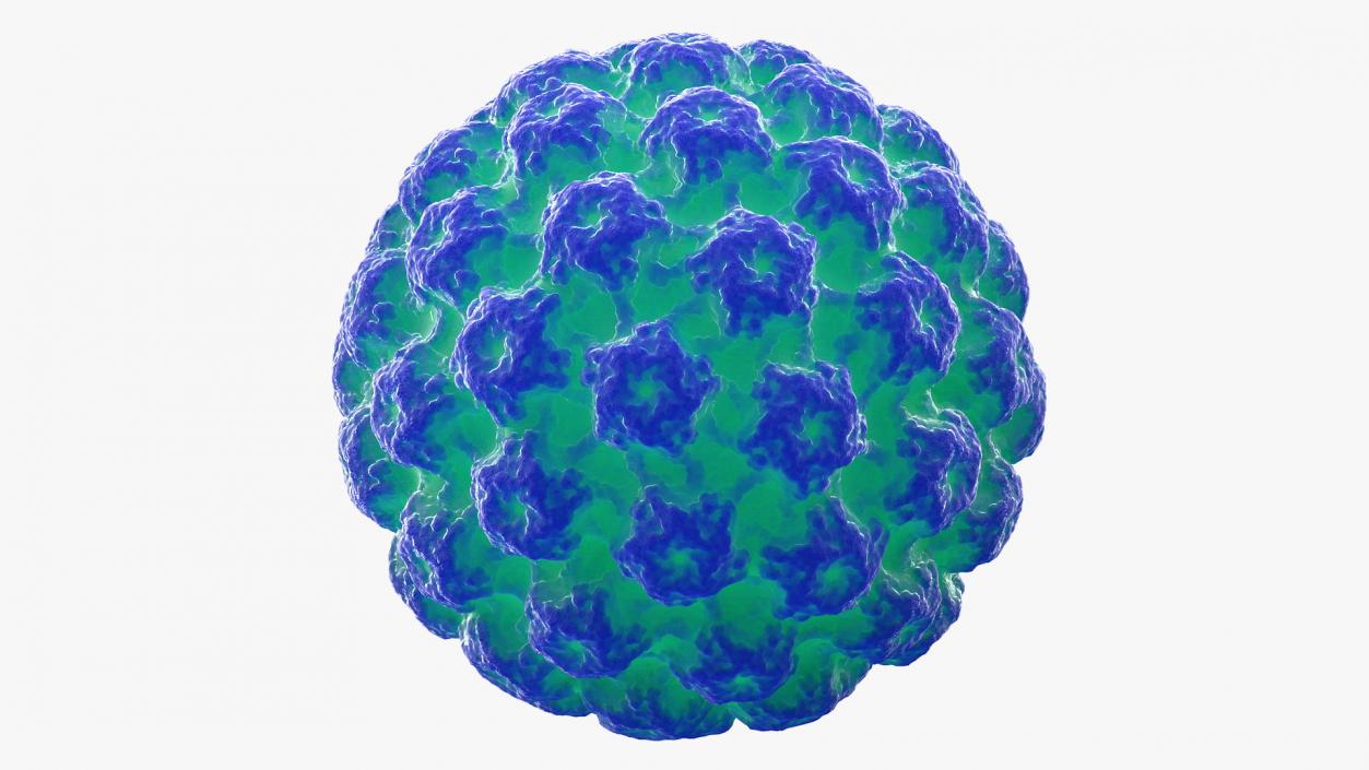 3D model Human Papilloma Virus HPV