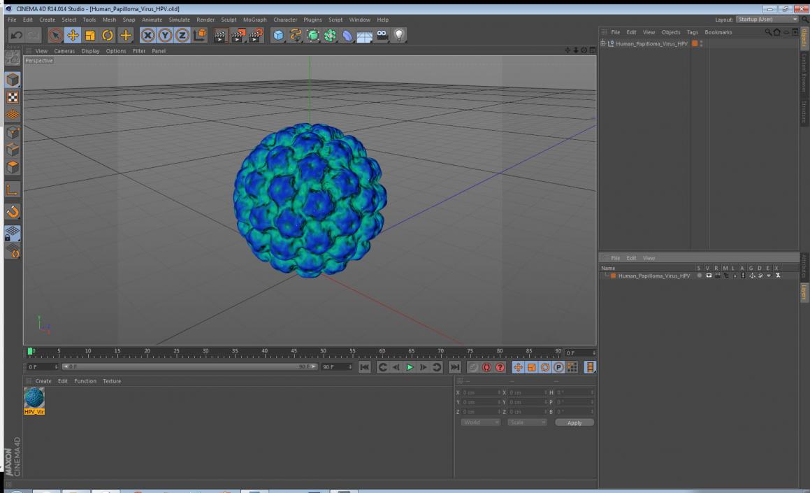 3D model Human Papilloma Virus HPV
