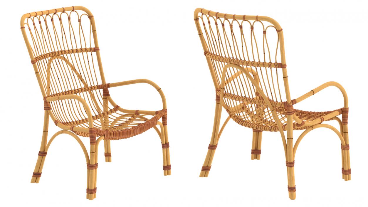 3D model Rattan Lounger Chair