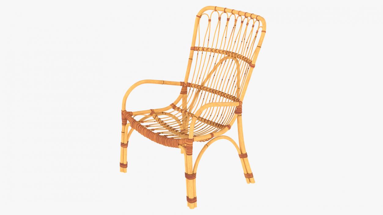 3D model Rattan Lounger Chair