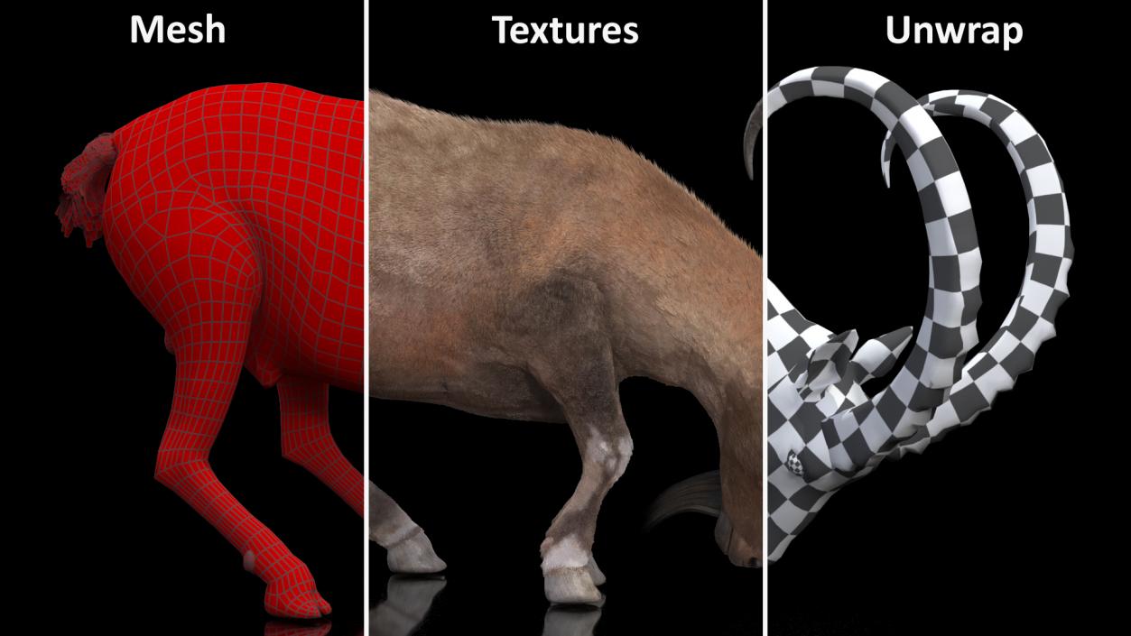 Alpine Ibex with Large Horns Fur 3D