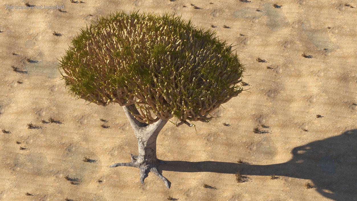 3D Dragon Tree